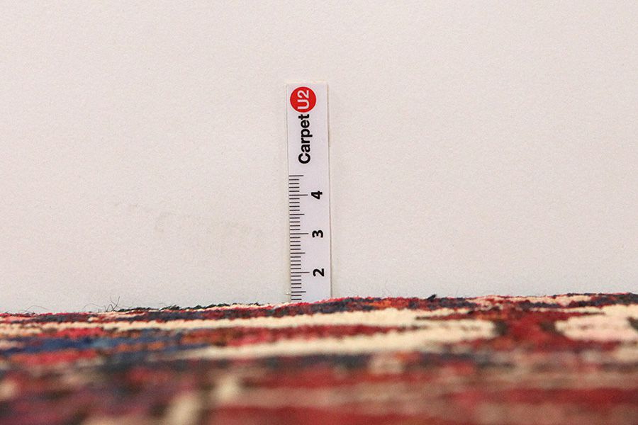 Bakhtiari - Garden Persian Carpet 303x164 - Picture 7