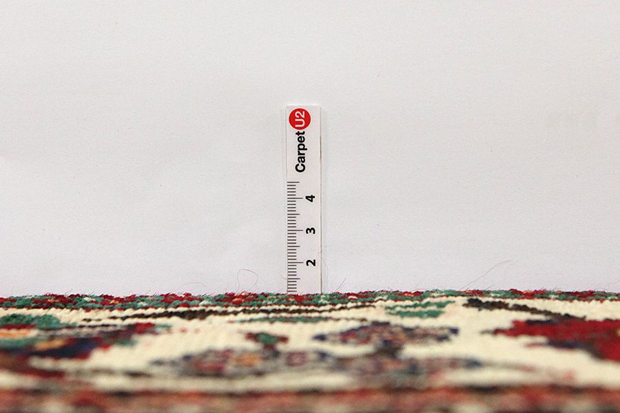 Bakhtiari - old Persian Carpet 318x166 - Picture 7