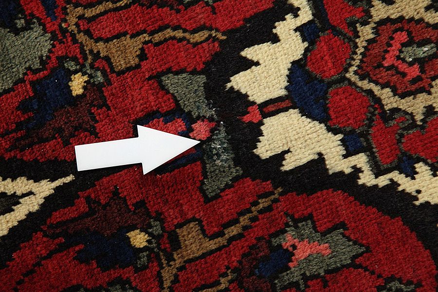Bakhtiari Persian Carpet 315x222 - Picture 8