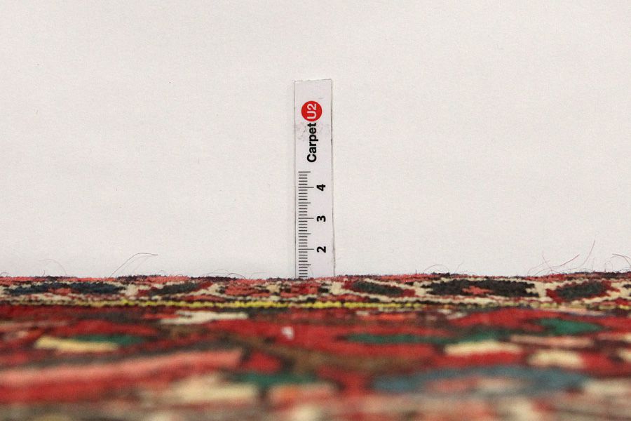 Bakhtiari Persian Carpet 323x212 - Picture 7