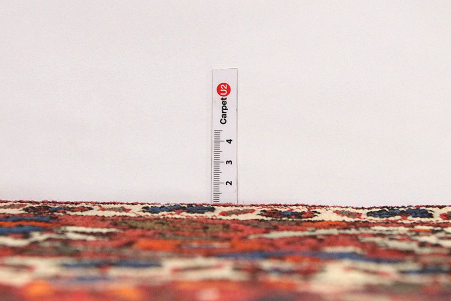 Bakhtiari Persian Carpet 327x205 - Picture 7