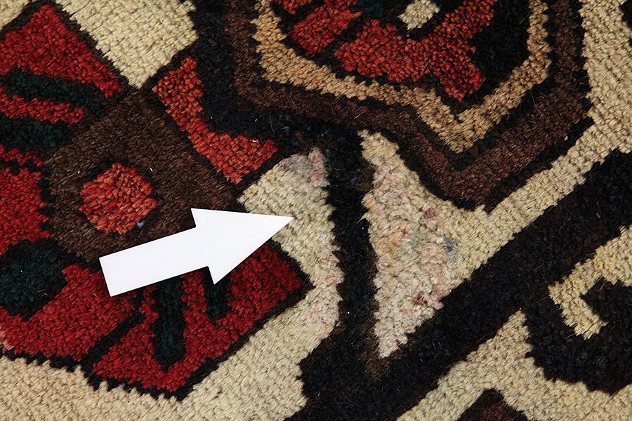 Bakhtiari Persian Carpet 295x195 - Picture 8