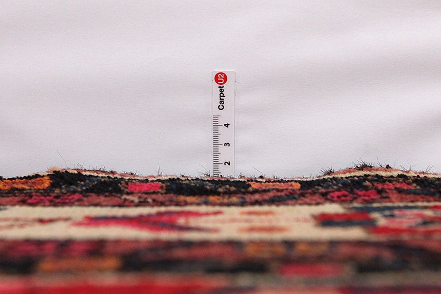Lori - Bakhtiari Persian Carpet 273x144 - Picture 7