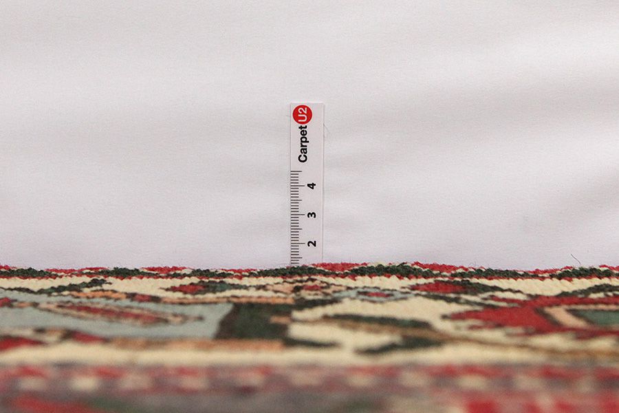 Bakhtiari Persian Carpet 275x153 - Picture 7