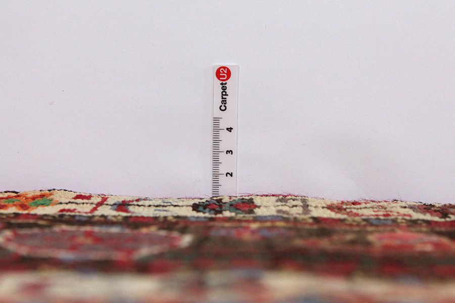 Tuyserkan - Hamadan Persian Carpet 300x147 - Picture 7