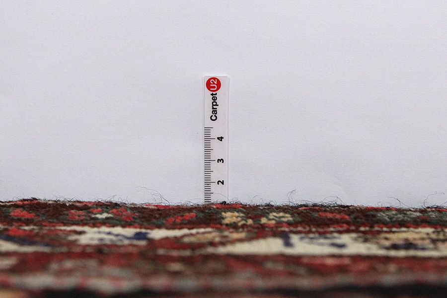 Sarouk - Farahan Persian Carpet 305x105 - Picture 7