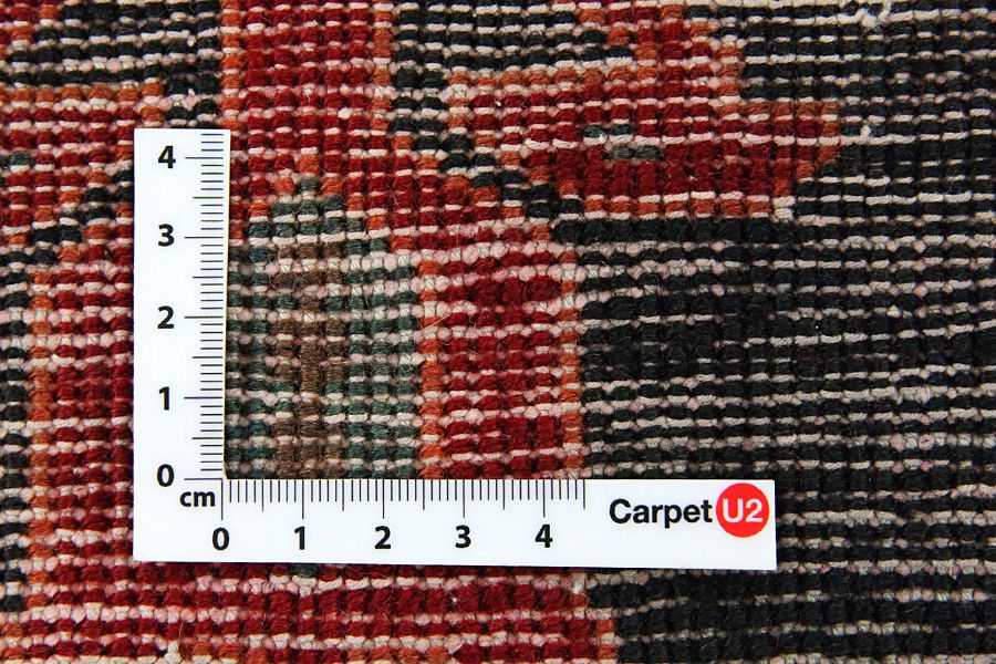 Koliai - Kurdi Persian Carpet 287x147 - Picture 3