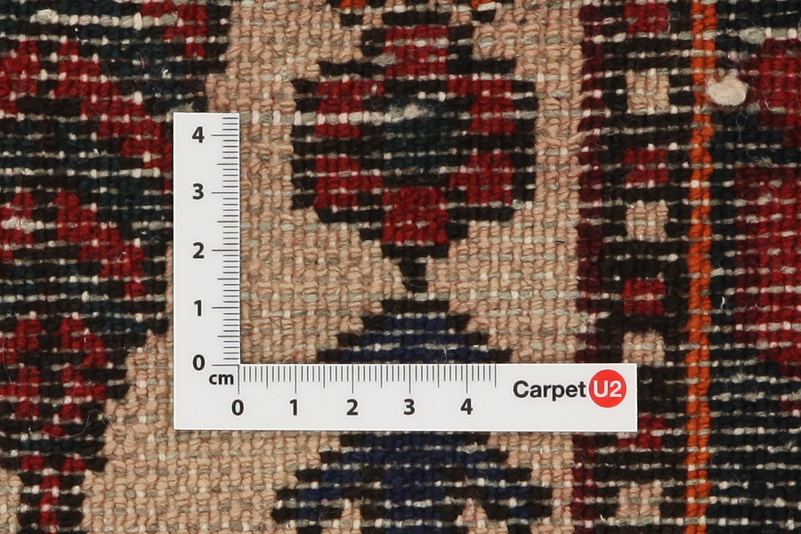 Bakhtiari - Garden Persian Carpet 303x209 - Picture 3