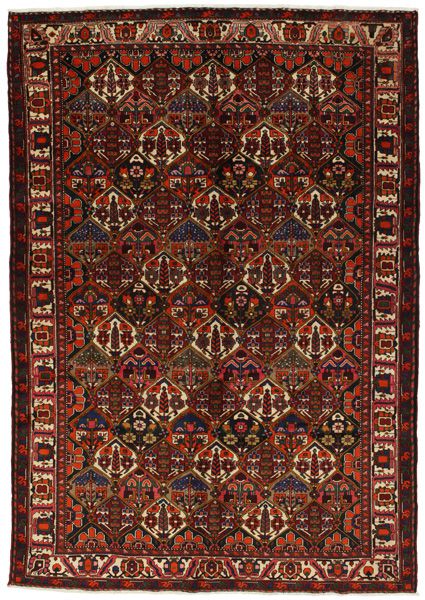 Bakhtiari - Garden