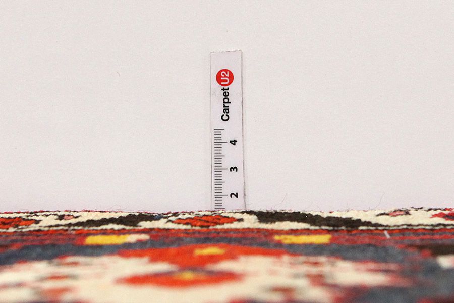 Bakhtiari Persian Carpet 308x210 - Picture 7