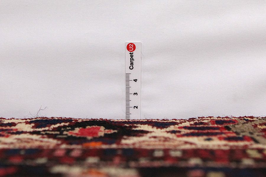 Bakhtiari Persian Carpet 305x156 - Picture 7